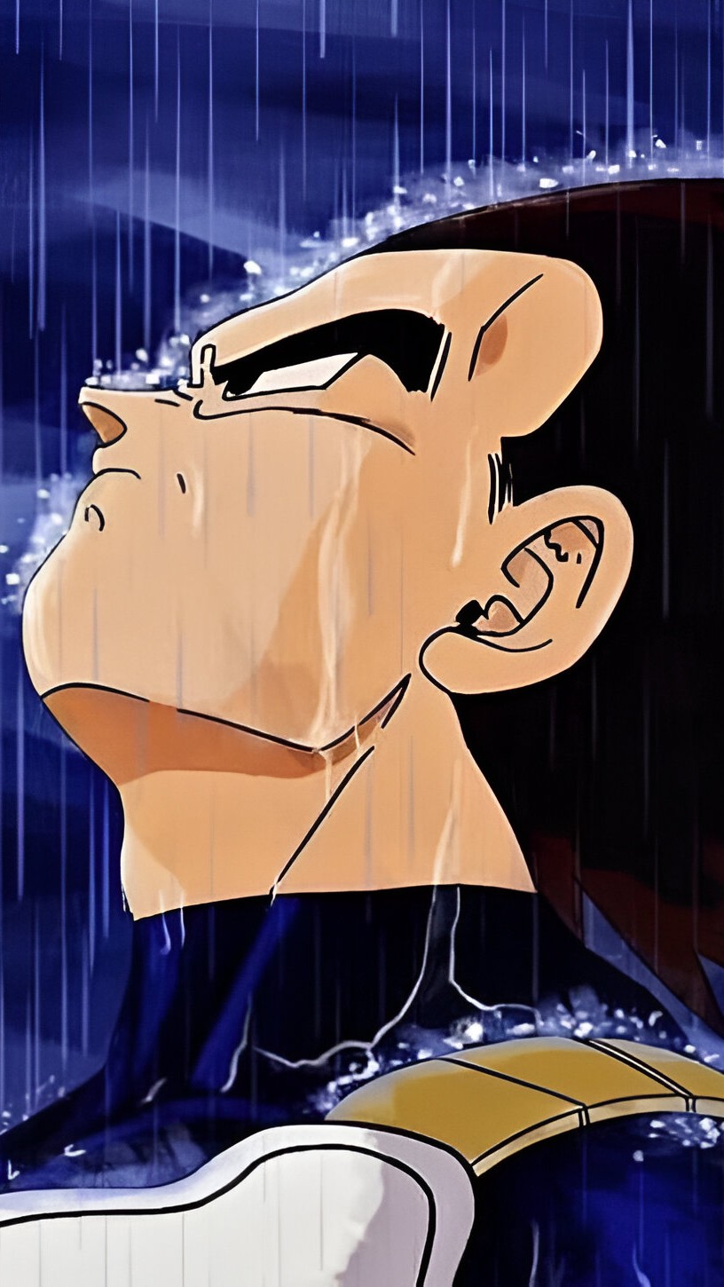 Vegeta (motivator)