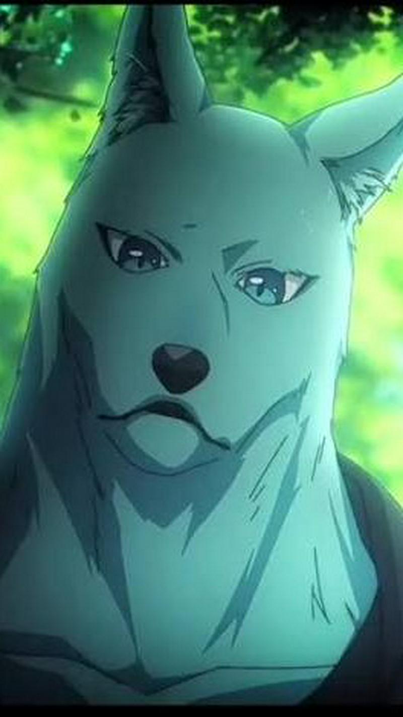 Tsunagu Hidaka — Furry Anthro AI chat character