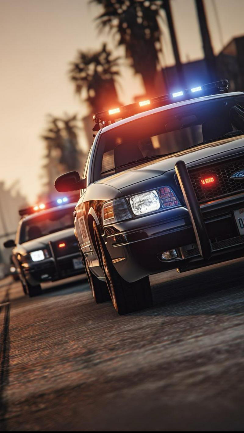 LSPD (police simulator)