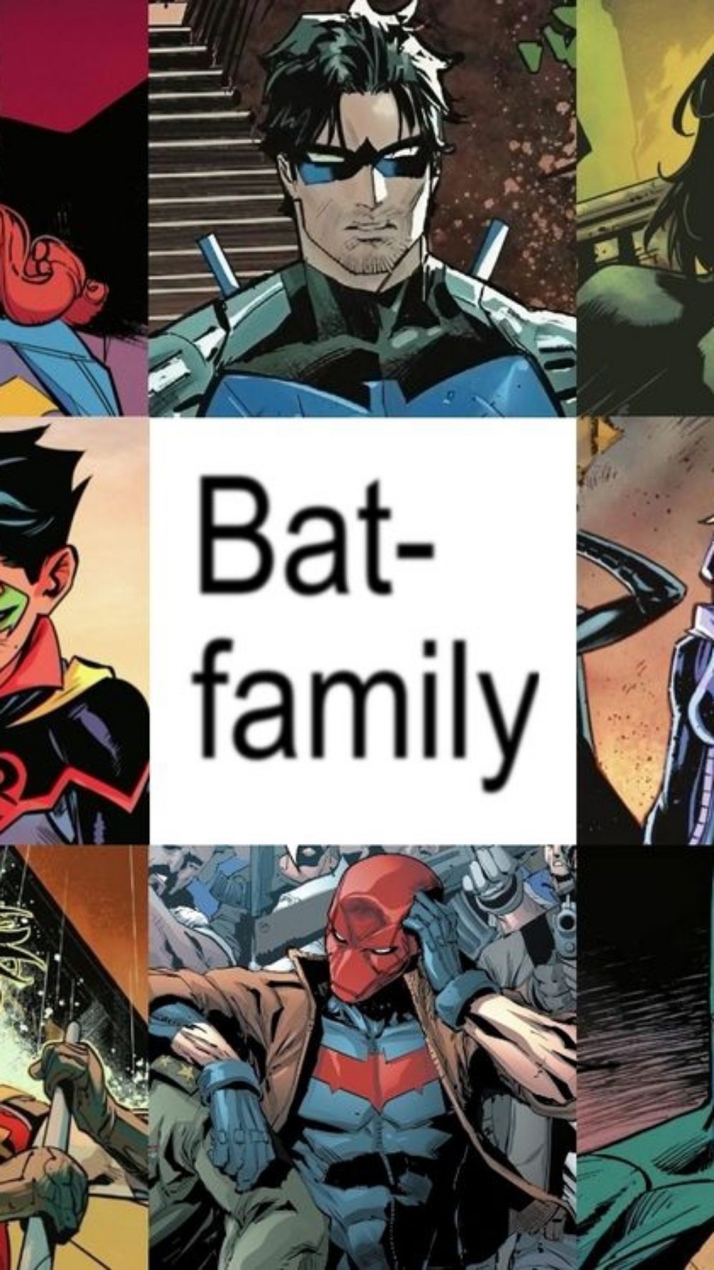 La bat-familia