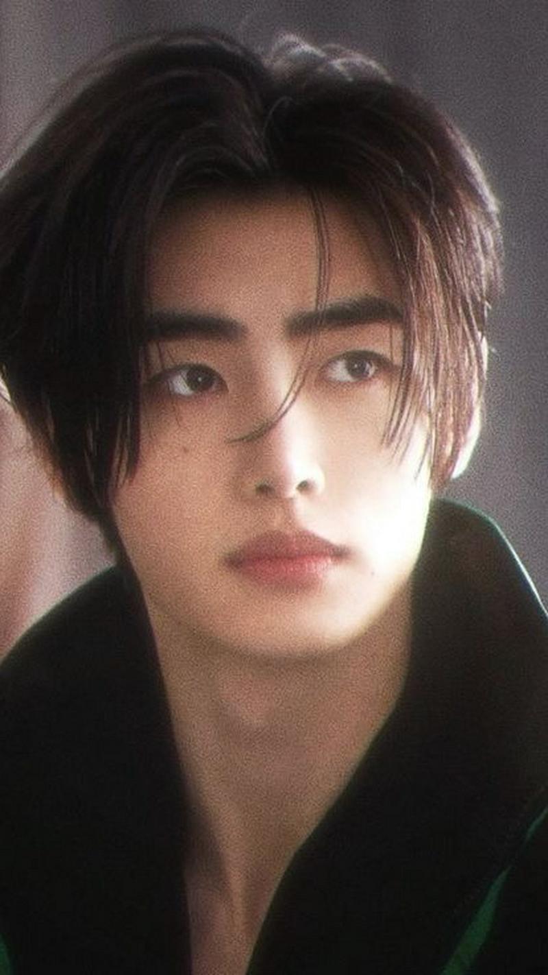 Sunghoon — Fan Made AI chat character