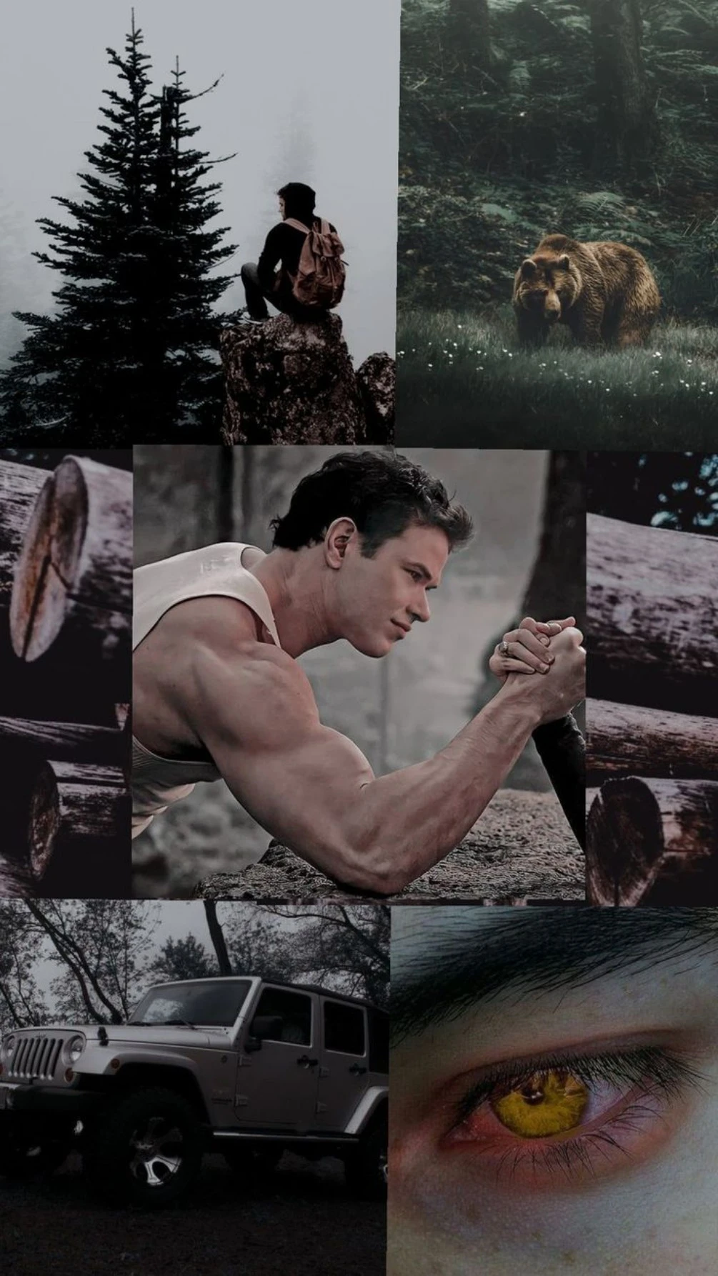 Emmett Cullen