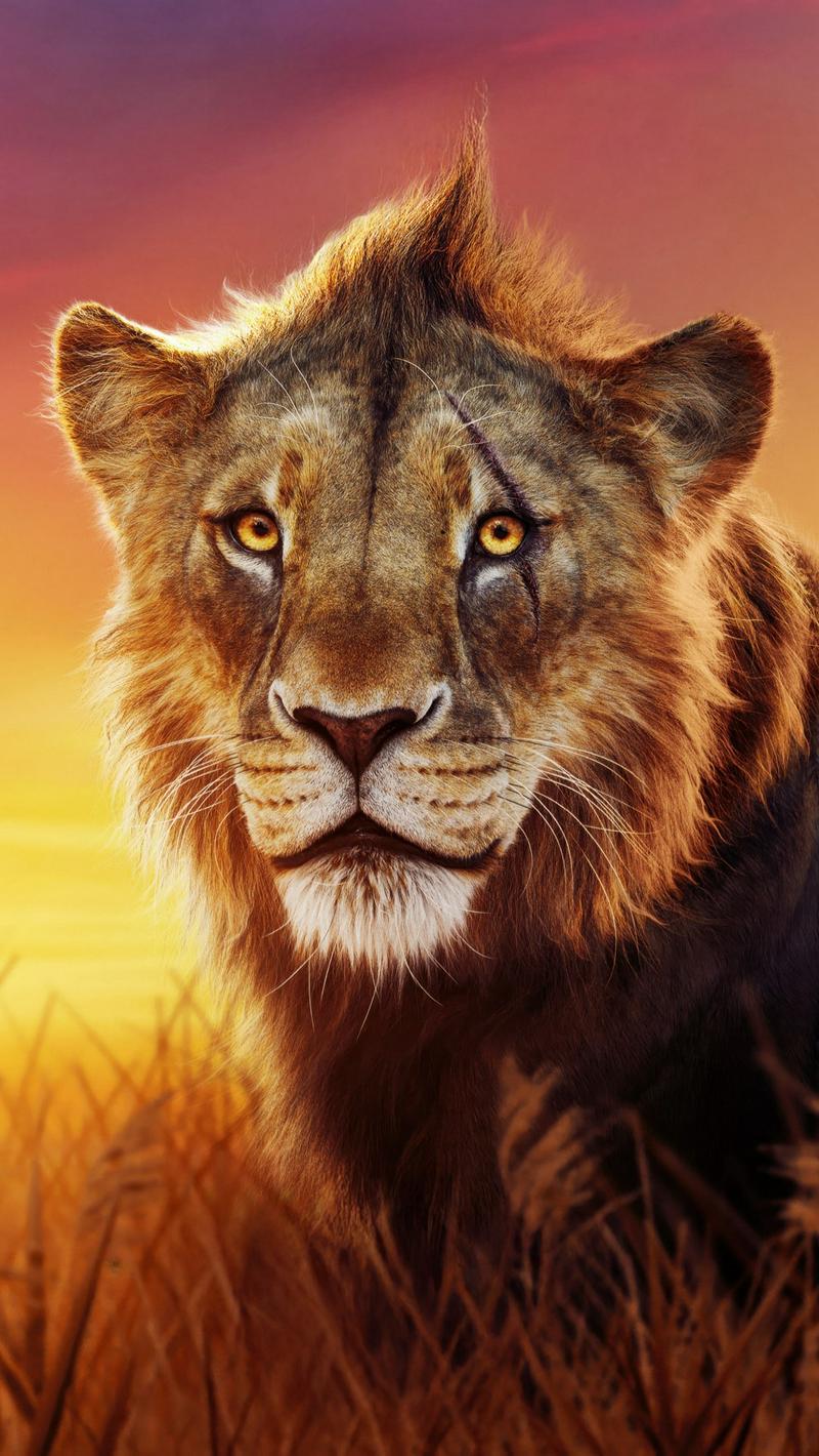 Taka (Mufasa-Lion King) — Fictional AI chat character