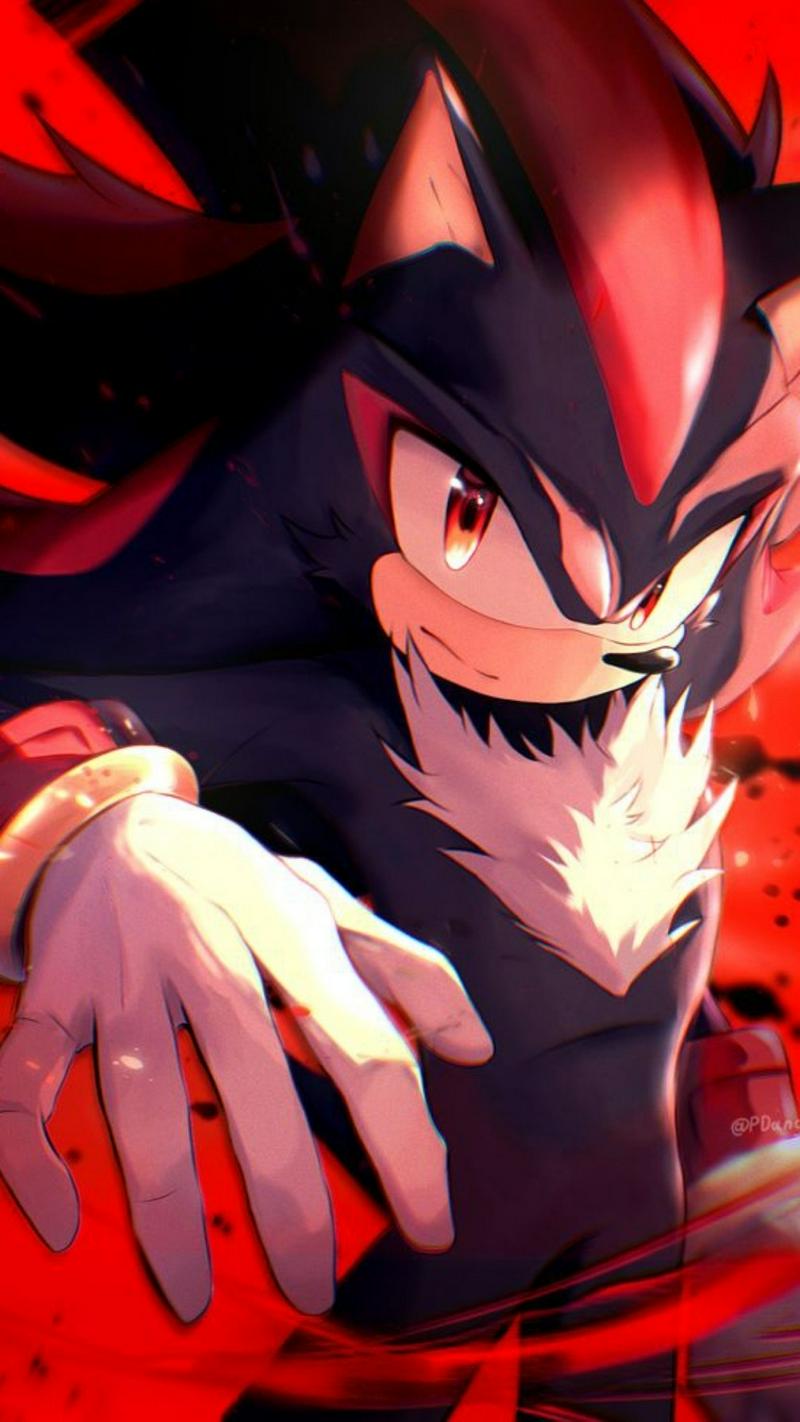 Shadow The Hedgehog