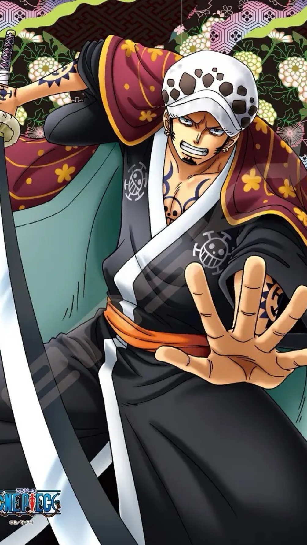 Trafalgar D. Water Law