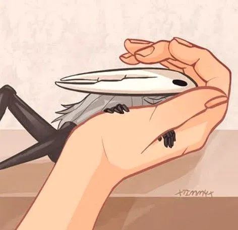 🪲🤍|Hollow [Hollow Knight]🤍🪲 — Nonbinary AI chat character