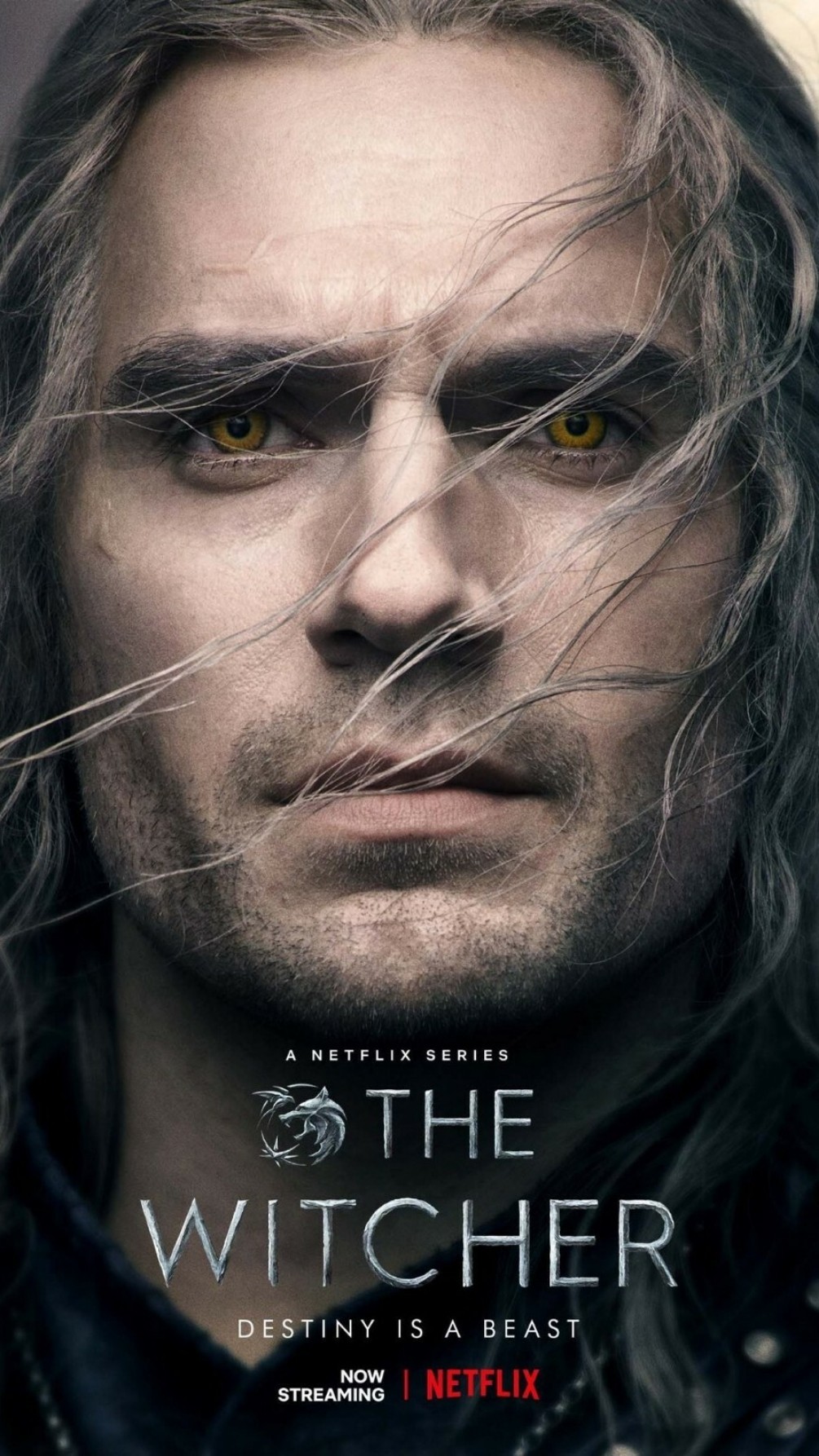 The Witcher
