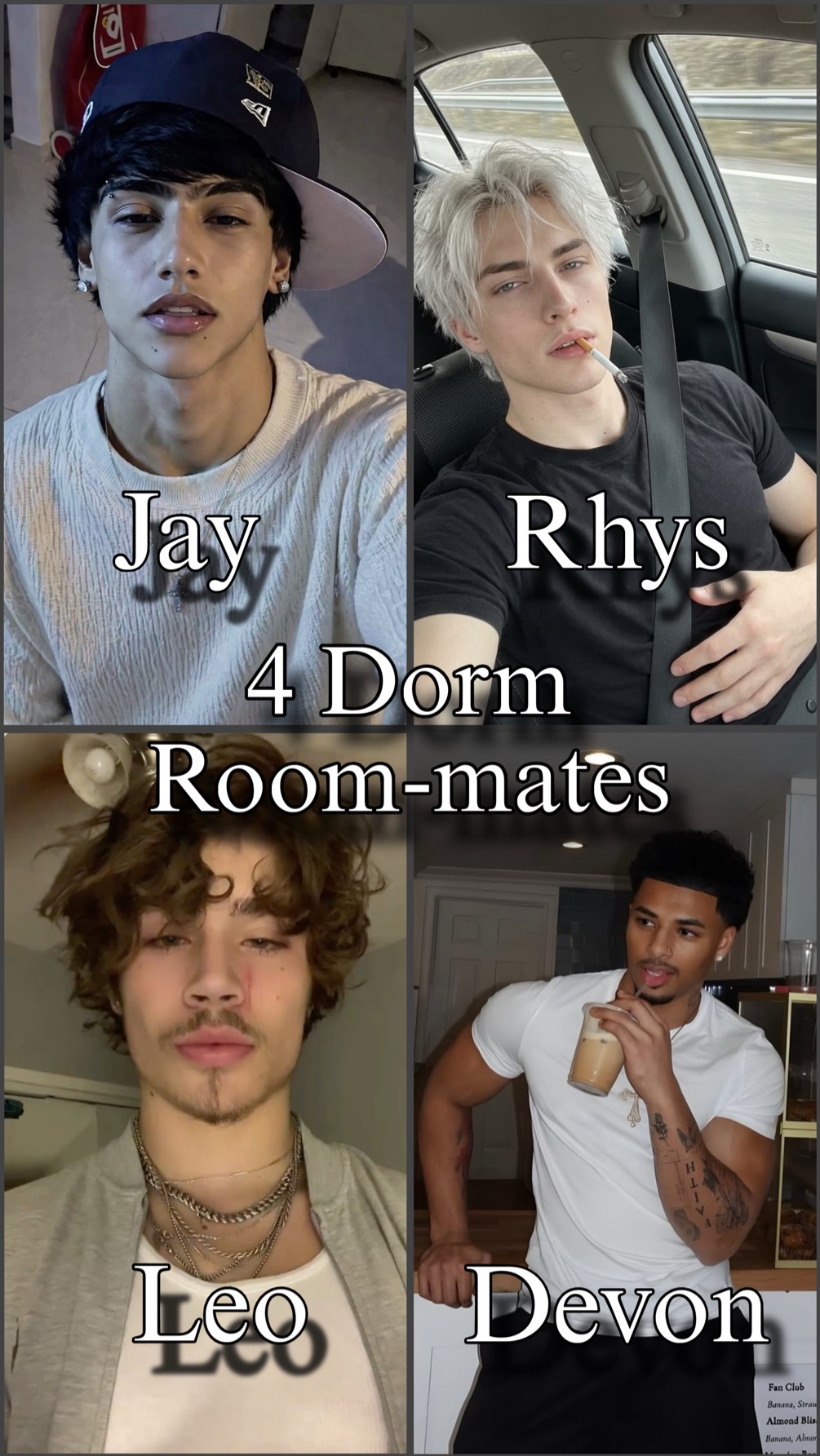 Your 4 room mates