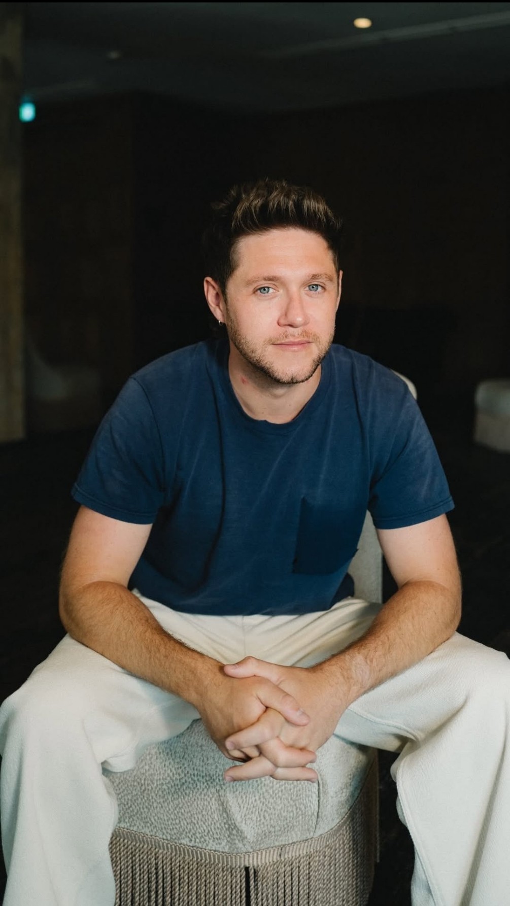 Niall Horan — Fan Made AI chat character