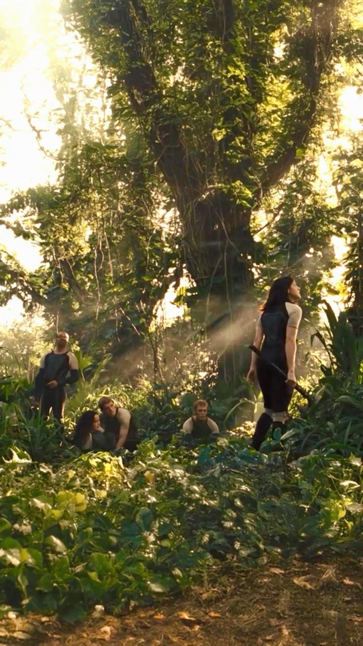The Hunger Games Catching Fire
