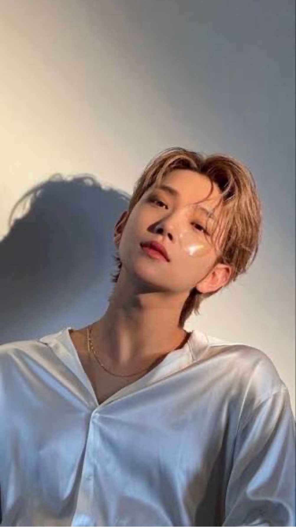 Joshua Hong (Seventeen)