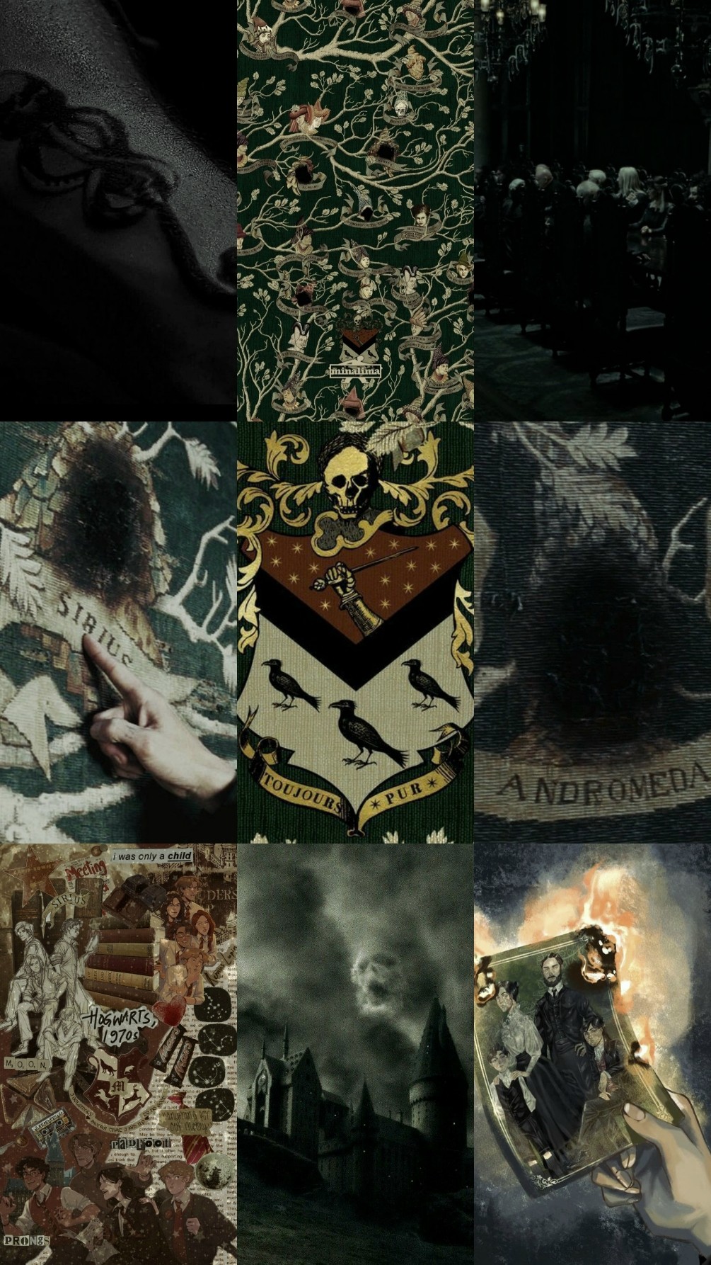 The Noble and Most Ancient House of Black