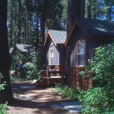 Moonlit Summer Camp | Summer Camp for the Troubled — AnyPOV AI chat character