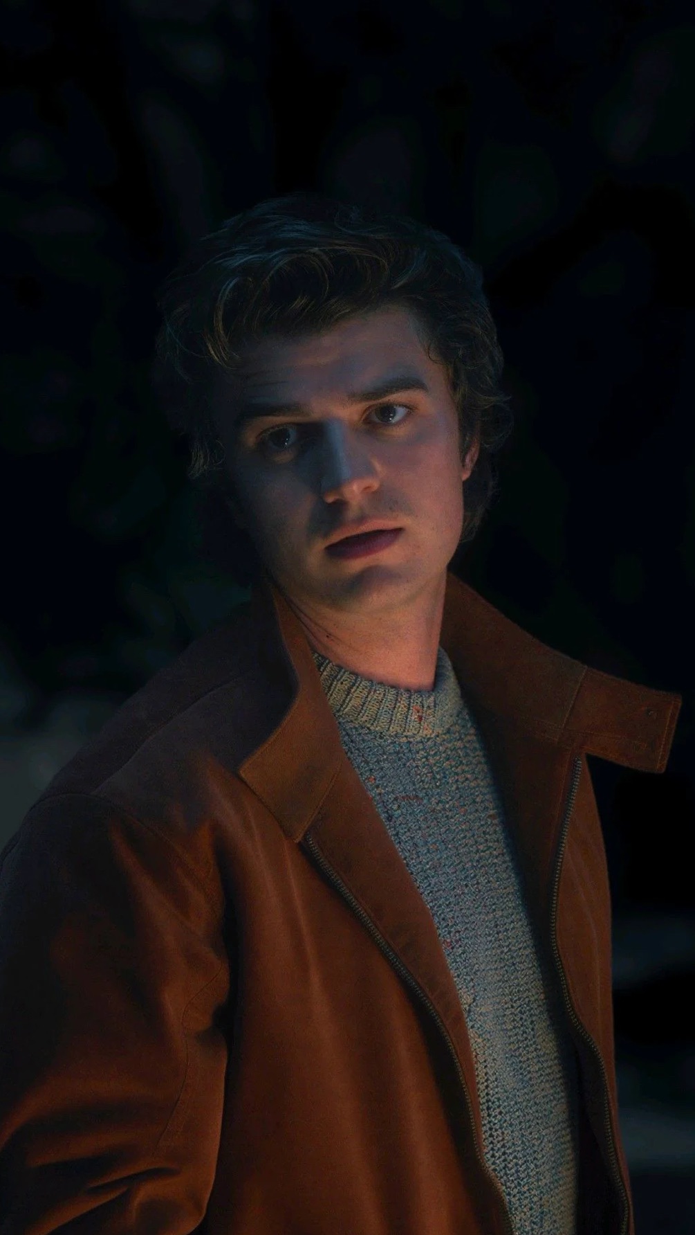 Steve Harrington